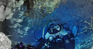 spot diving di Bali